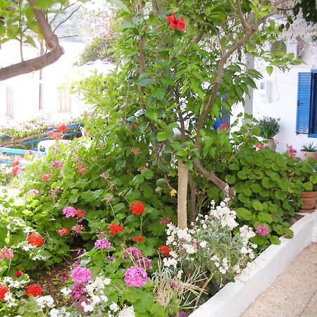 Hotel Hariklia Agia Galini Exteriér fotografie