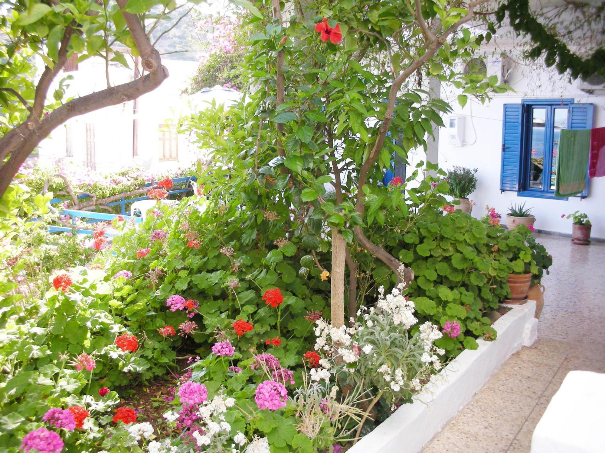 Hotel Hariklia Agia Galini Exteriér fotografie